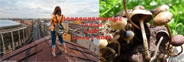 apvp Беломорск