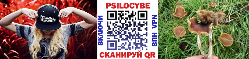 как найти закладки  Великий Устюг  Галлюциногенные грибы ЛСД 