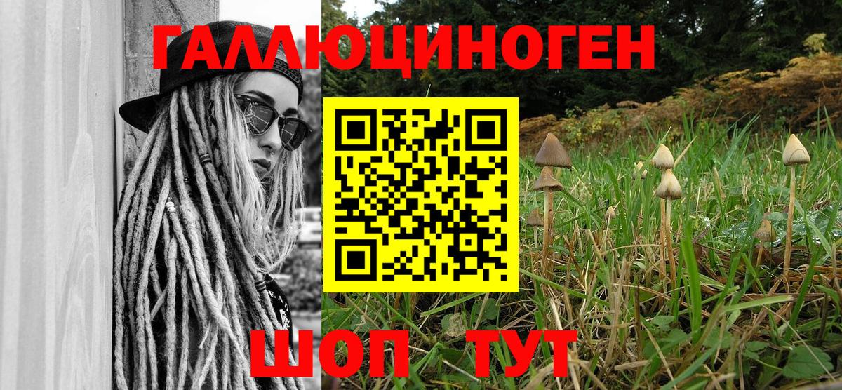 Галлюциногенные грибы Magic Shrooms  Вход с VPN  Великий Устюг  Псилоцибиновые грибы ЛСД 